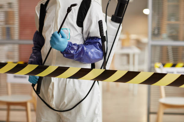 Professional Blood Cleanup technician working in Leota, MN